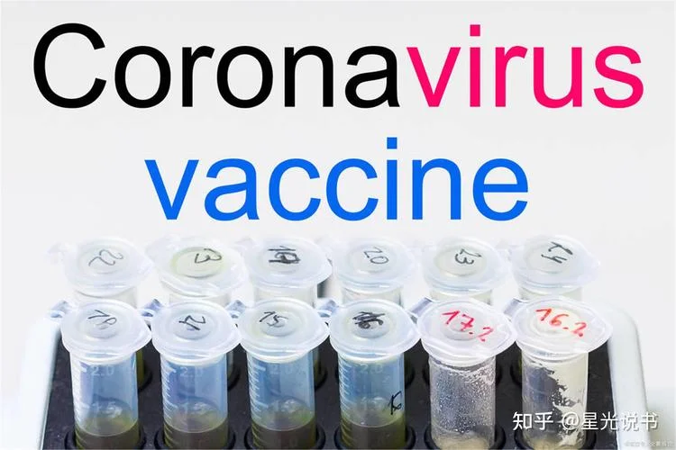 2023年8月疫情恢复_1