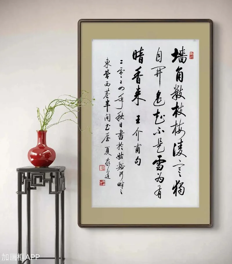 梅花的作者是宋代的谁_1