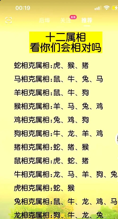 狗和什么属相相合相冲_1