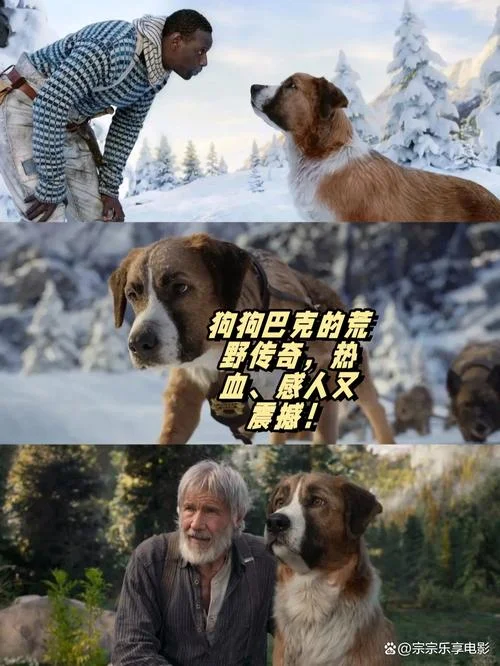 野性的呼唤是谁写的_1