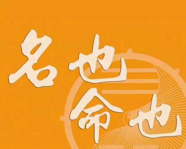 风水公司一般叫什么名字_2