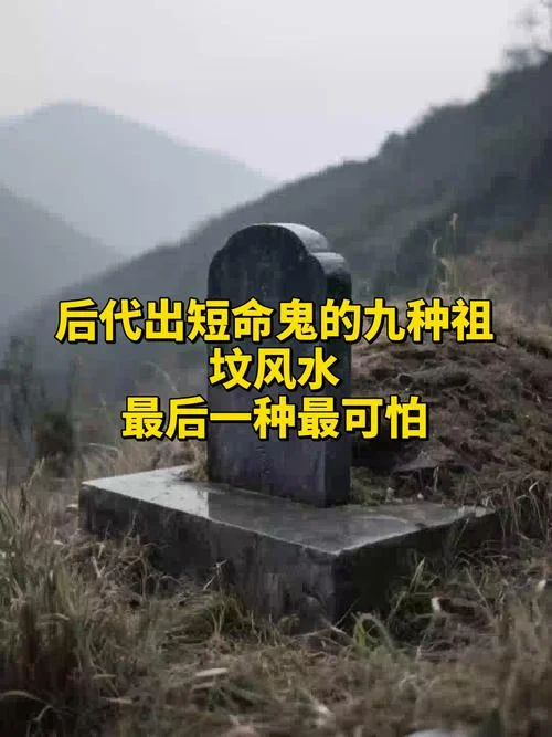 梦见进墓地是什么预兆_1