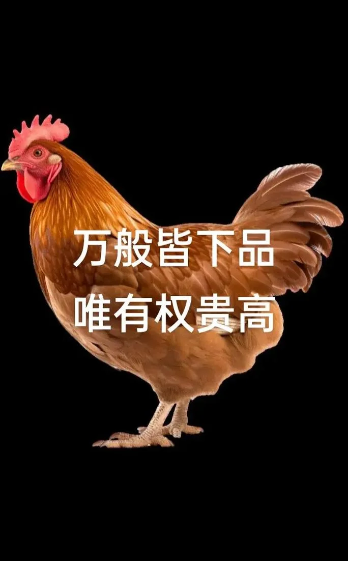 笑贫不笑娼下一句_1