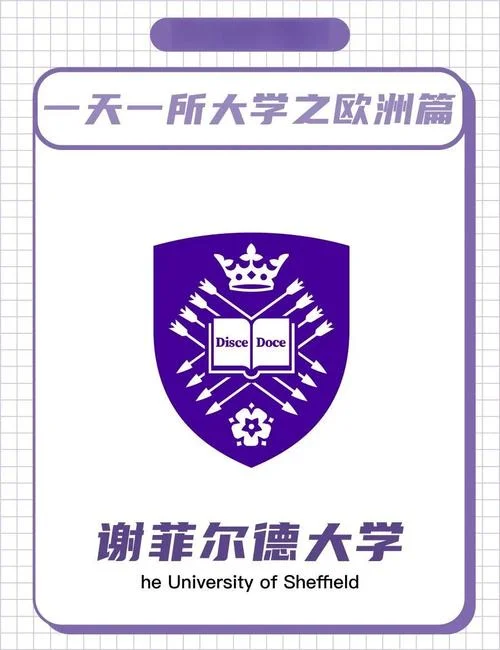 谢菲尔德大学排名世界_2