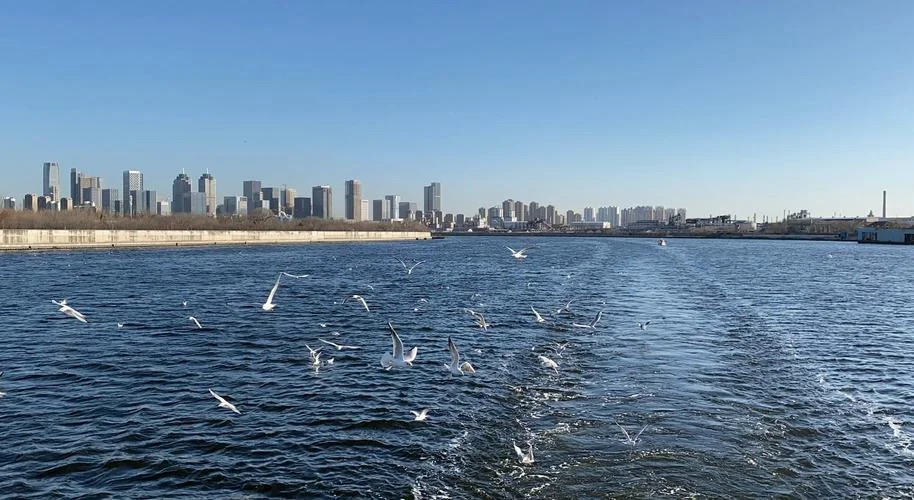 塘沽码头旅游景点_1