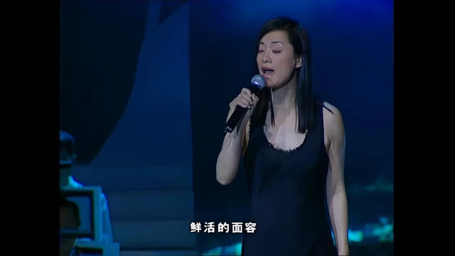 毛阿敏的历史天空_2