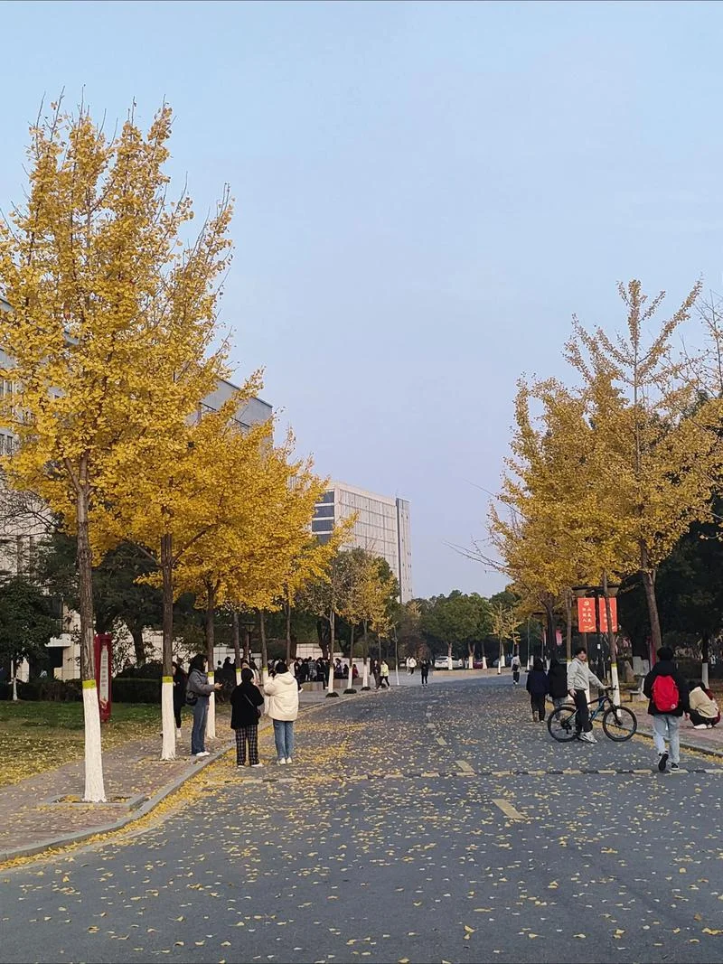 芜湖职业技术学院_2