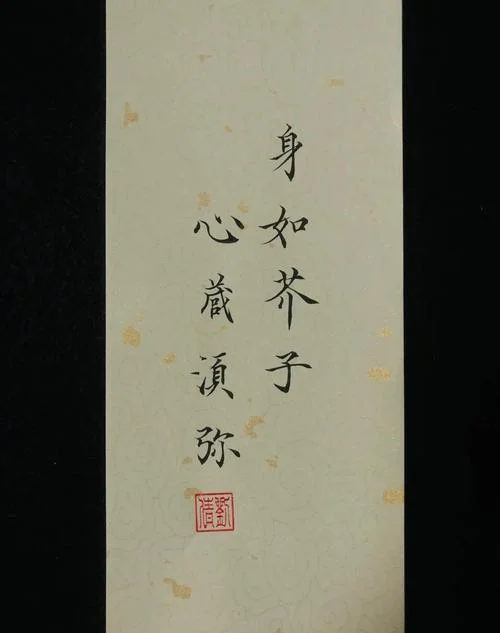 芥子纳须弥出自哪部经_2