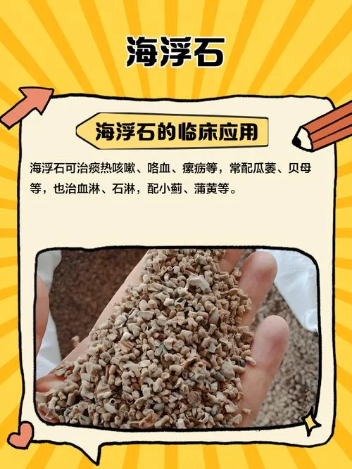 海浮石还叫什么_1