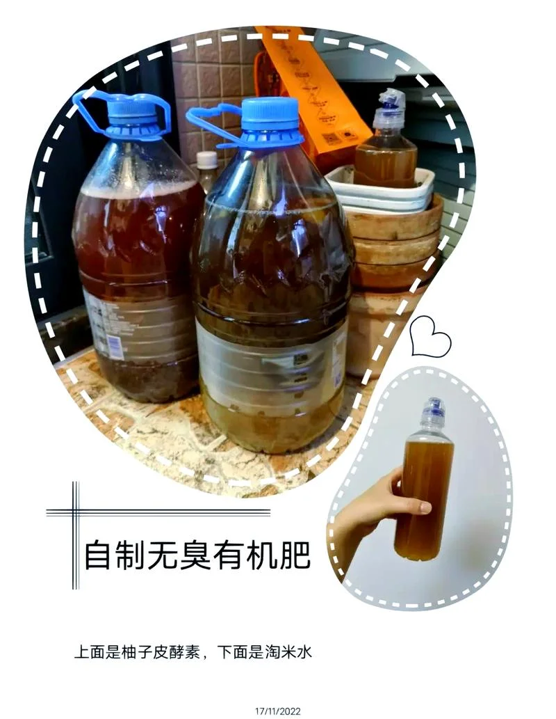 种花的酵素怎么做_2