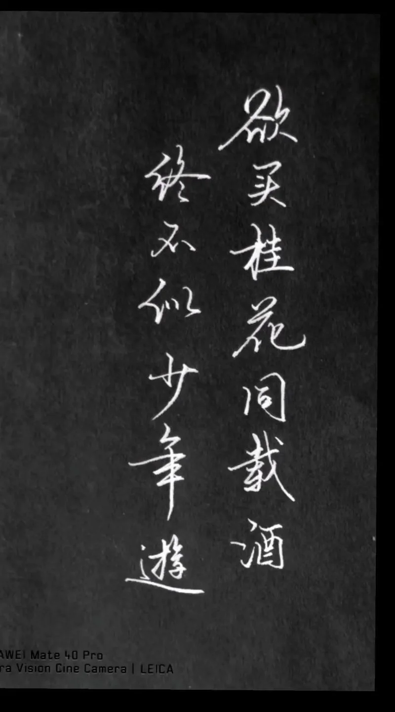欲买桂花同载酒下一句_1
