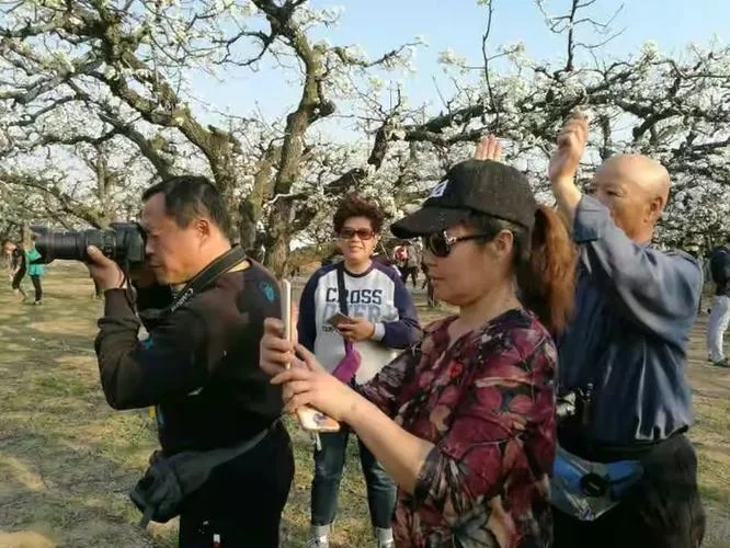砀山到菏泽多少公里_1