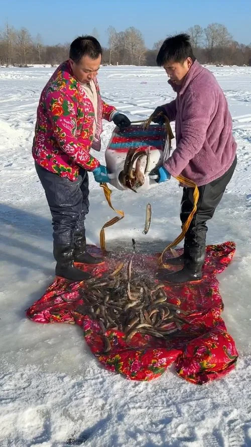 梦见雪景里抓鱼-雪景捕鱼之梦