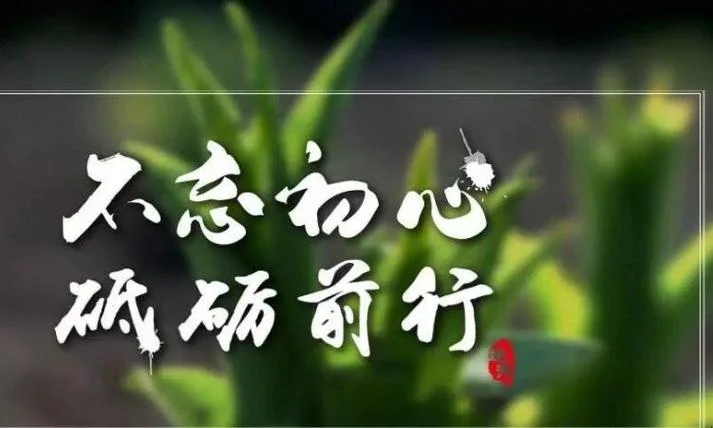 砥砺前行上一句_1