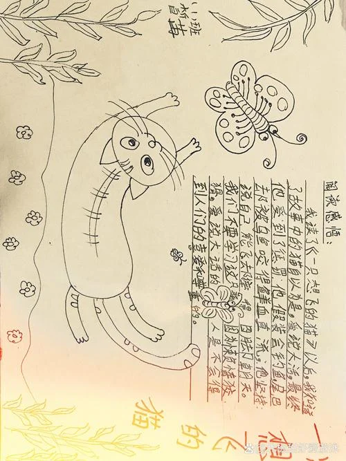 一只想飞的猫故事感悟_1