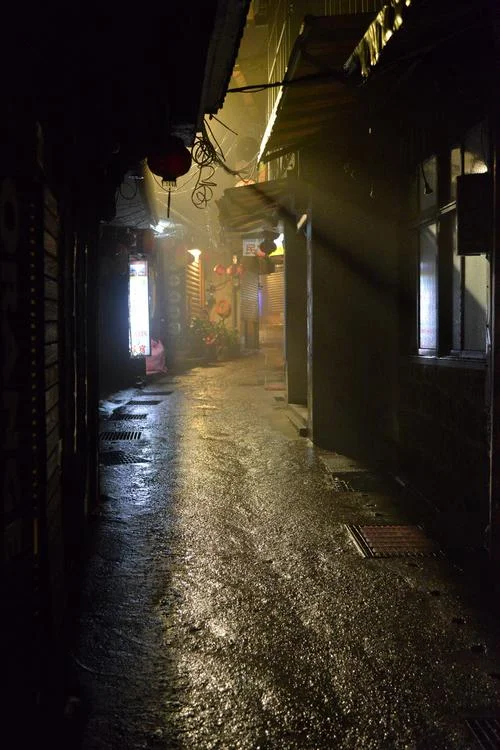 风雨夜归人上一句_1