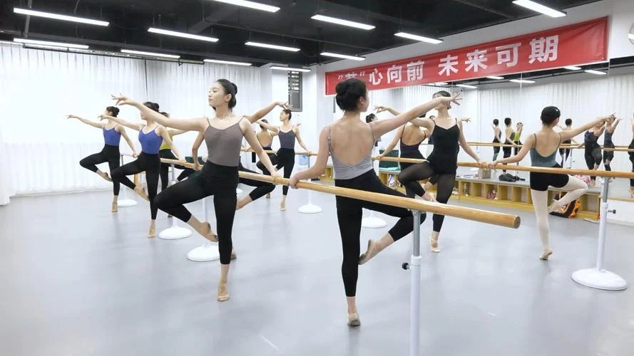 舞蹈艺考视频实拍_1