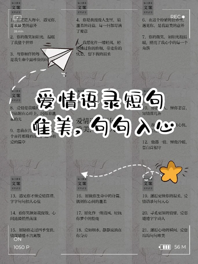 有道理的句子爱情-有道理的爱情句子