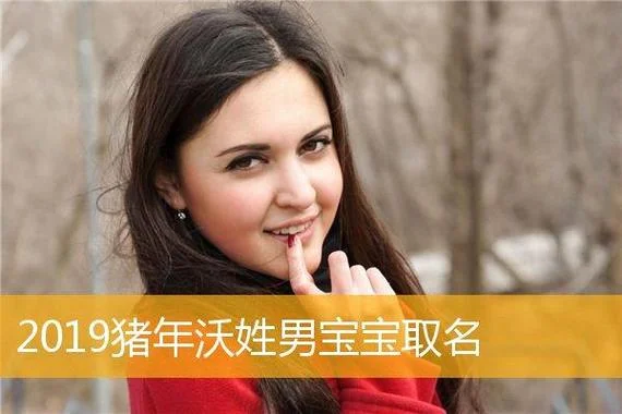 起名男孩小名猪年_2