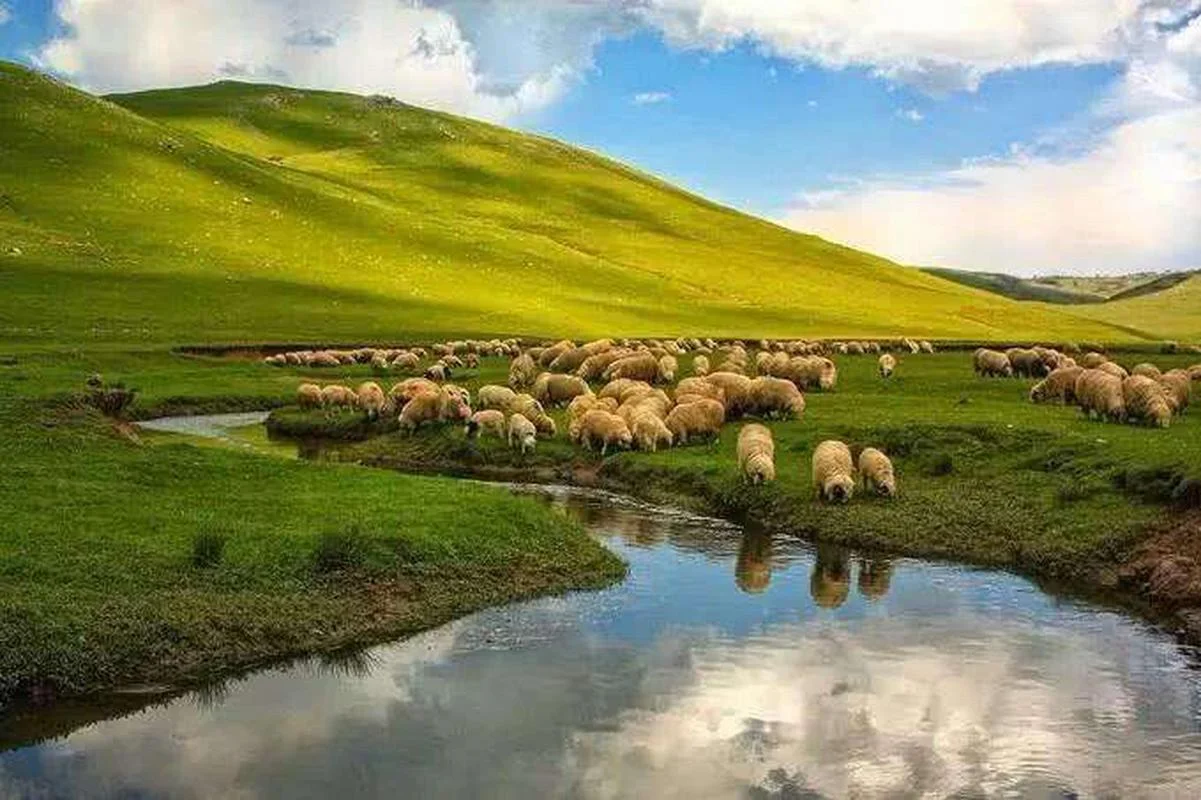 草原旅游景点推荐_2
