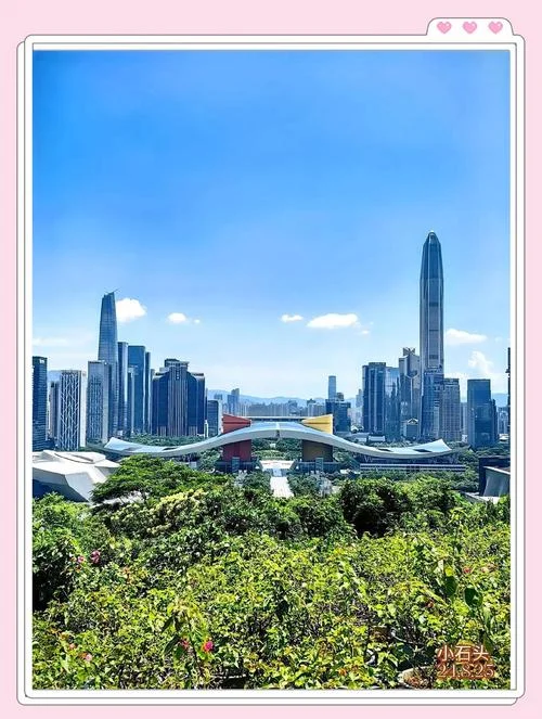 深圳哪个区适合年轻人-深圳各区选年轻人