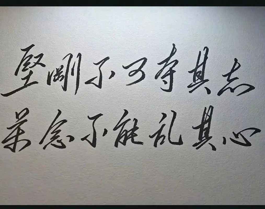 持志如心痛出处_1
