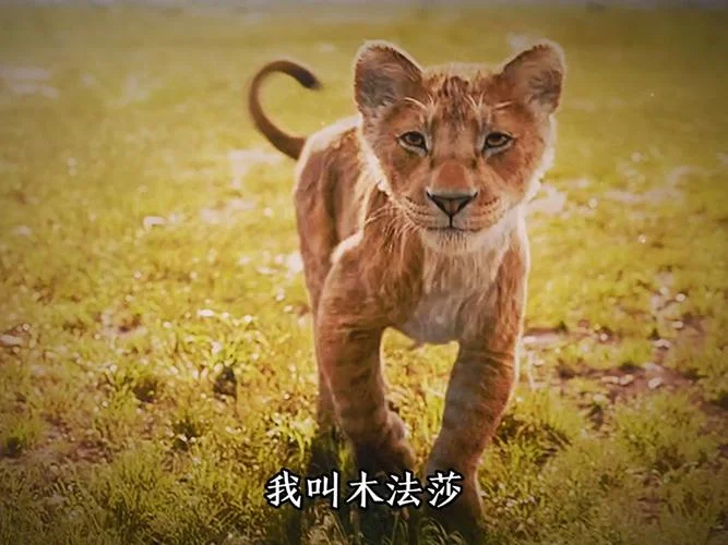 狮子王上的小狗叫什么_2