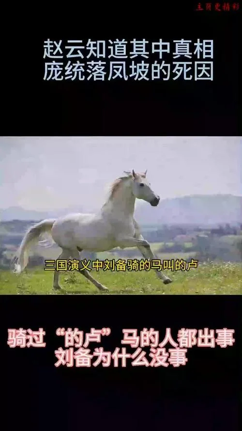 三国里的马叫什么-三国马名大揭秘