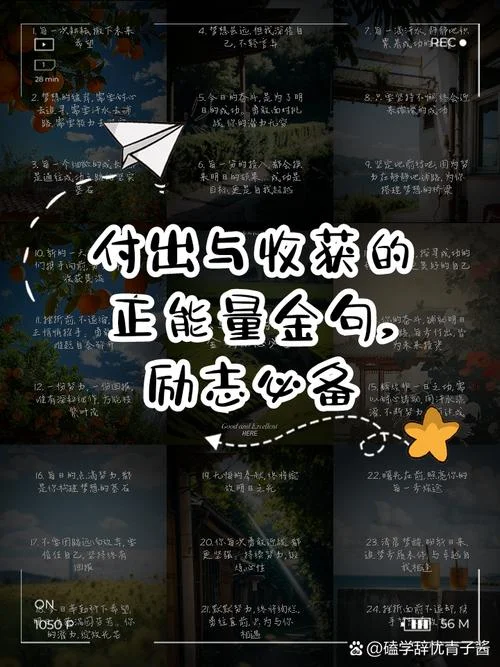 感悟收获的句子_1