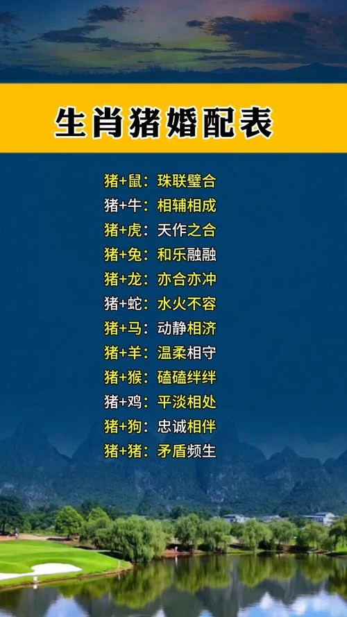 属猪的属相和什么相冲_2