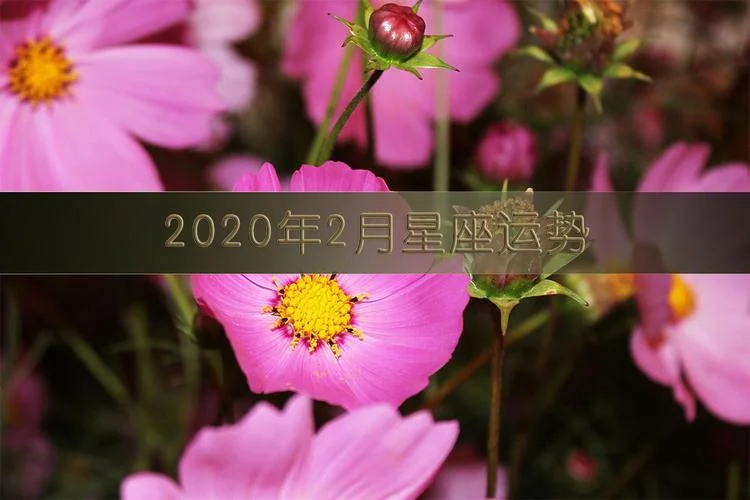 紫薇科技今日运势-紫薇科技今日运势