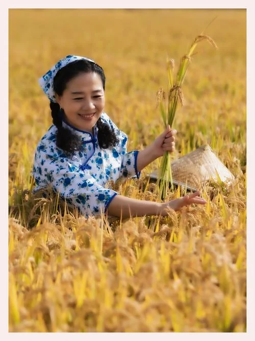 孕妇梦见收稻谷进家里_2