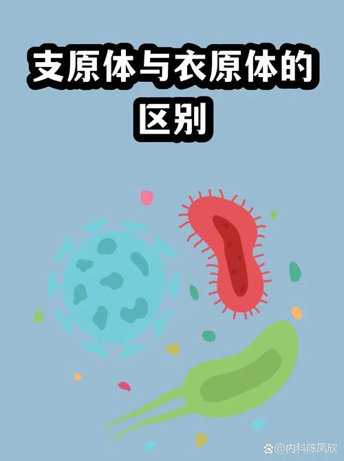 妇科支原体衣原体感染是什么意思_2