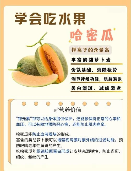 哈密瓜几月份种最好-哈密瓜最佳种植期