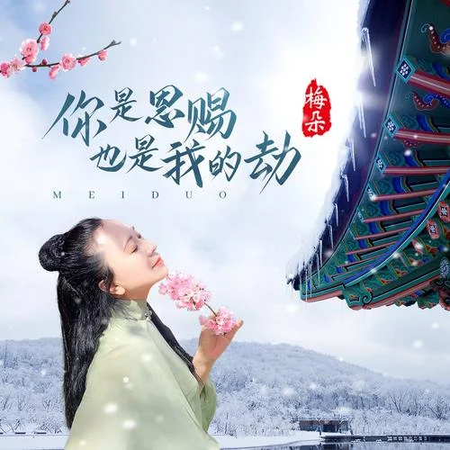 你是我的劫下一句_2