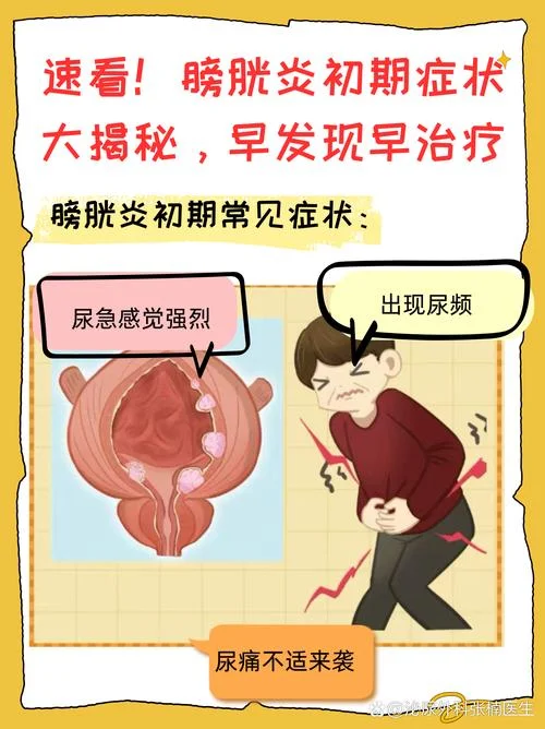 什么是顽固型膀胱炎_1