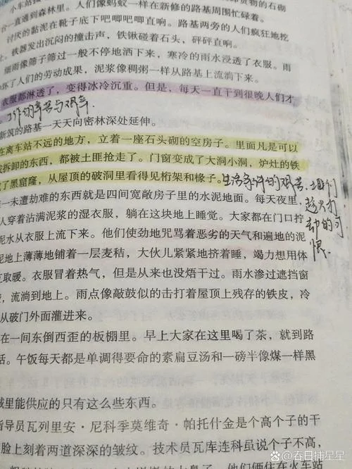 钢铁是怎样炼成第二章的阅读感悟_1