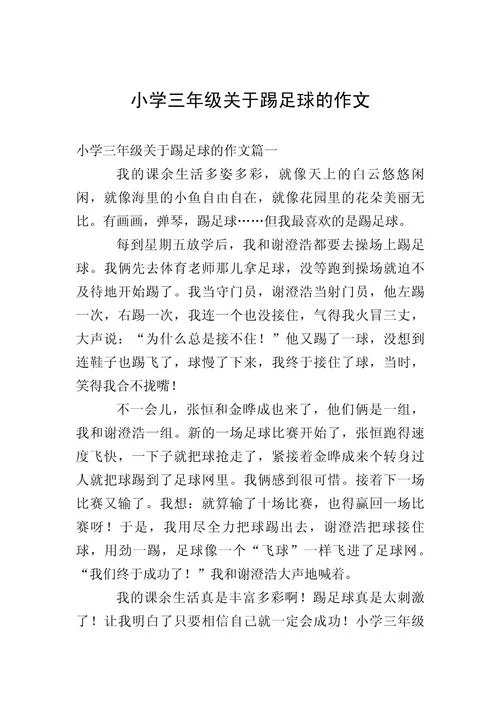 踢足球的感悟20字_2