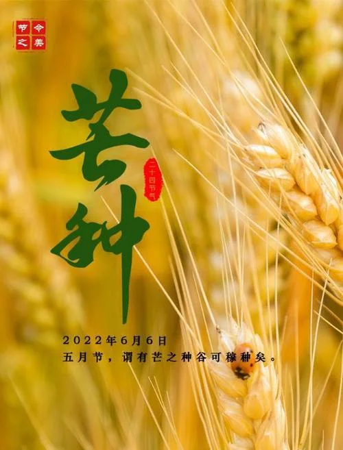 1967年芒种是几月几日_2