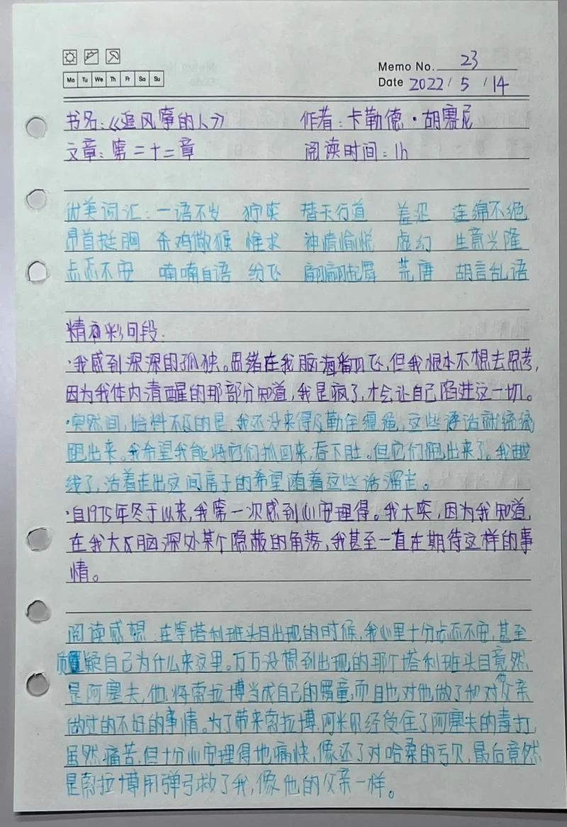 追风筝的人摘抄及感悟_1