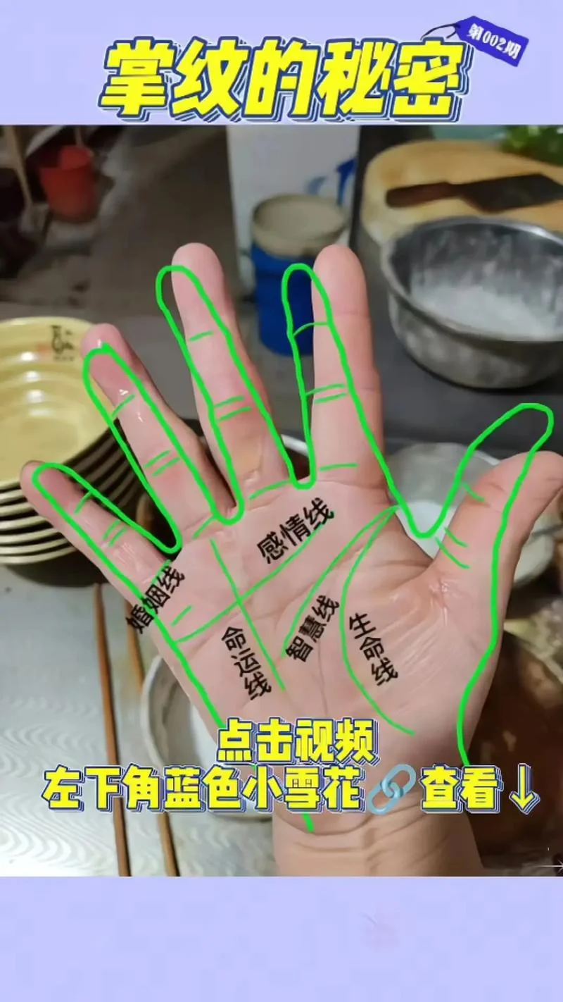 看看我的手相-看手相
