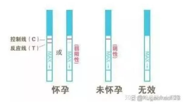 如何查是否怀孕_2