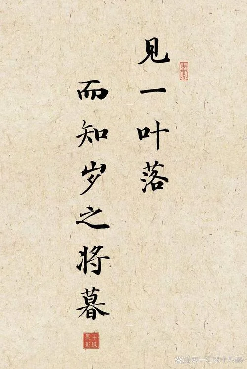 吾心信其可行 出处_2
