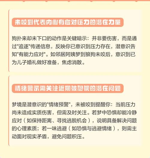 孕妇梦见狗想咬自己-孕妇梦狗咬自