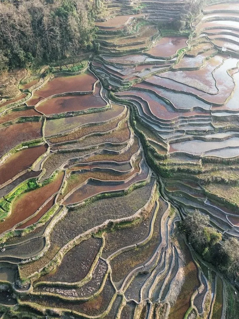 云南哈尼梯田景点_1