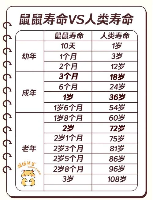 鼠年几月份出生最好_1