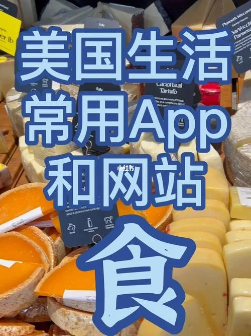 美国留学留下来的几率_2