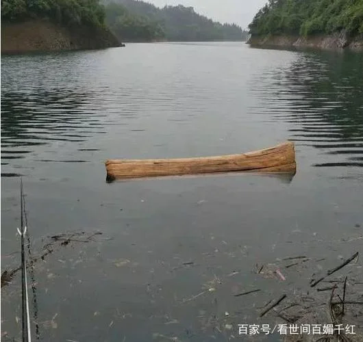 梦见洪水中有木材_1