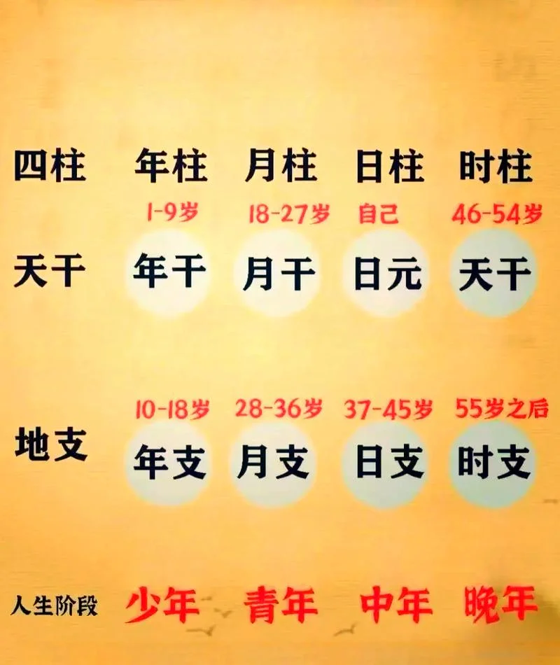 什么八字适合算命_2