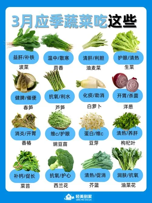 蔬菜批发起名大全_1
